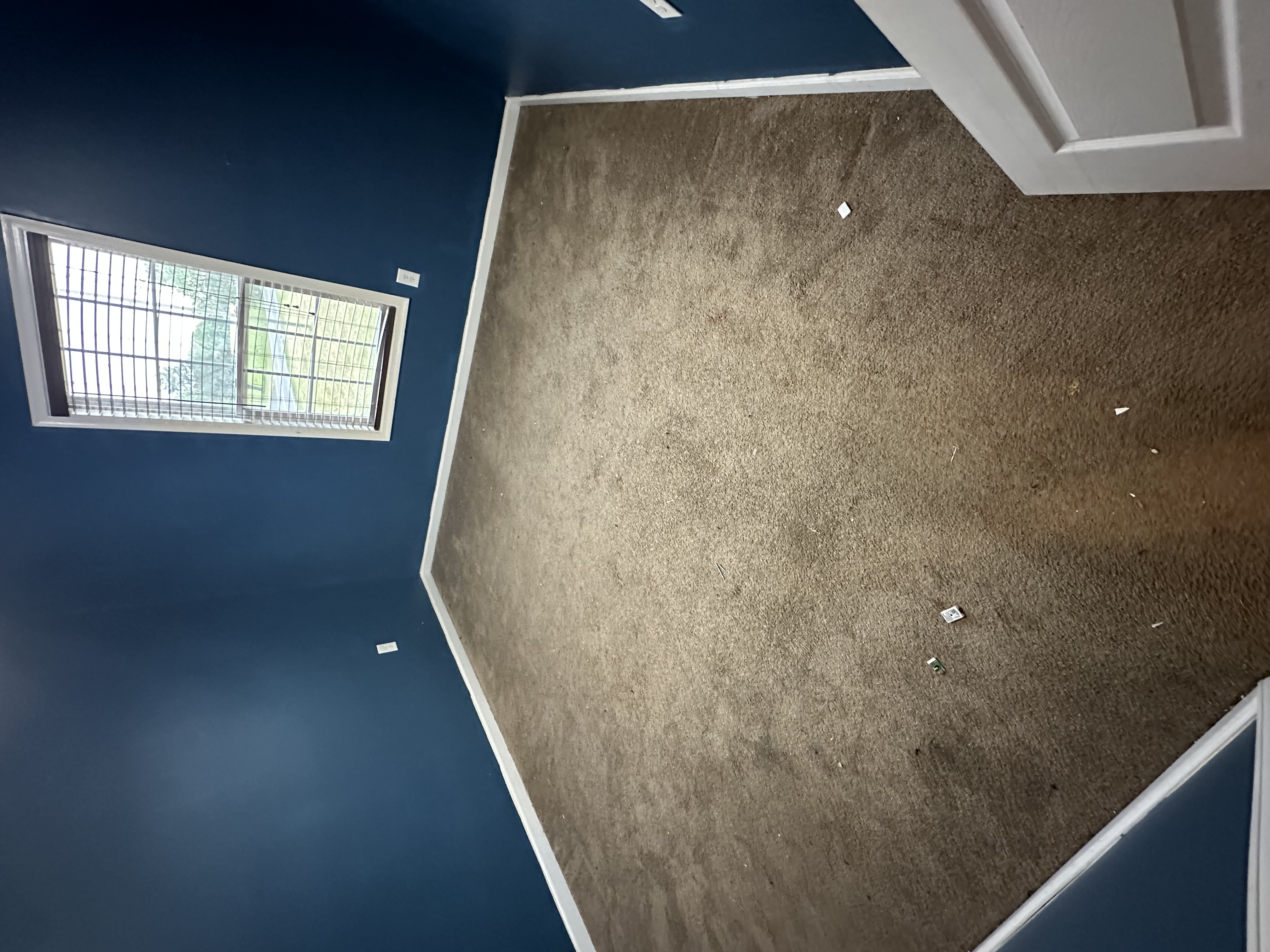 Carpet cleaning before photo