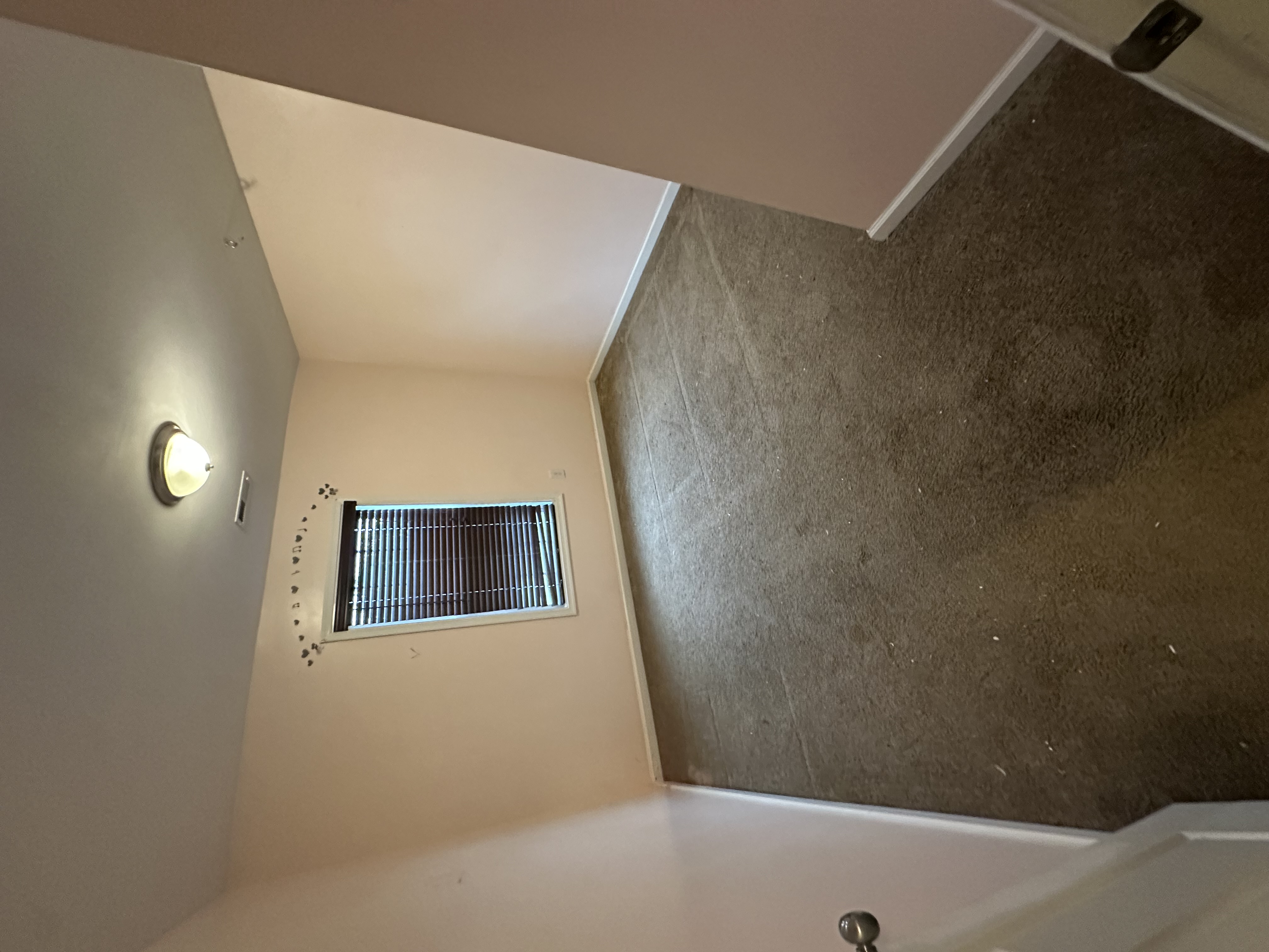Carpet cleaning before photo