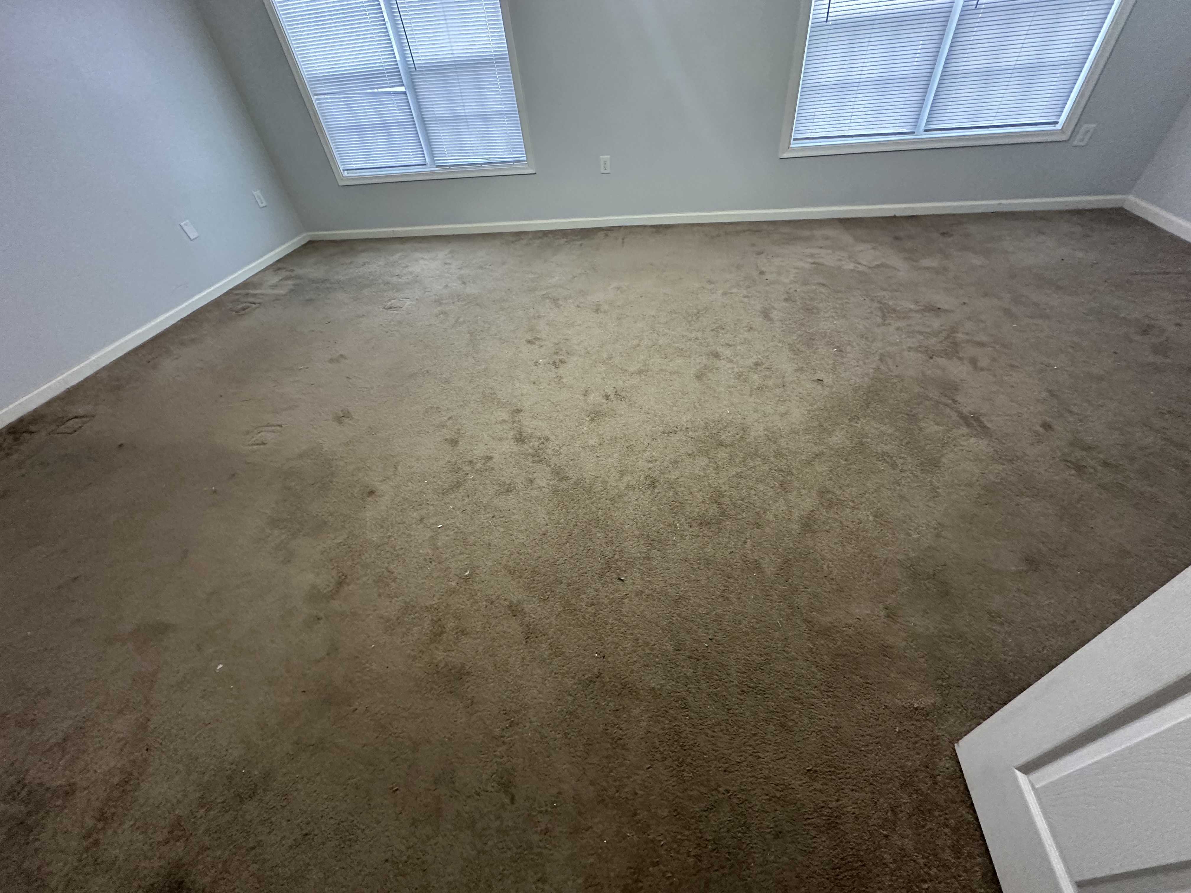 Carpet cleaning before photo