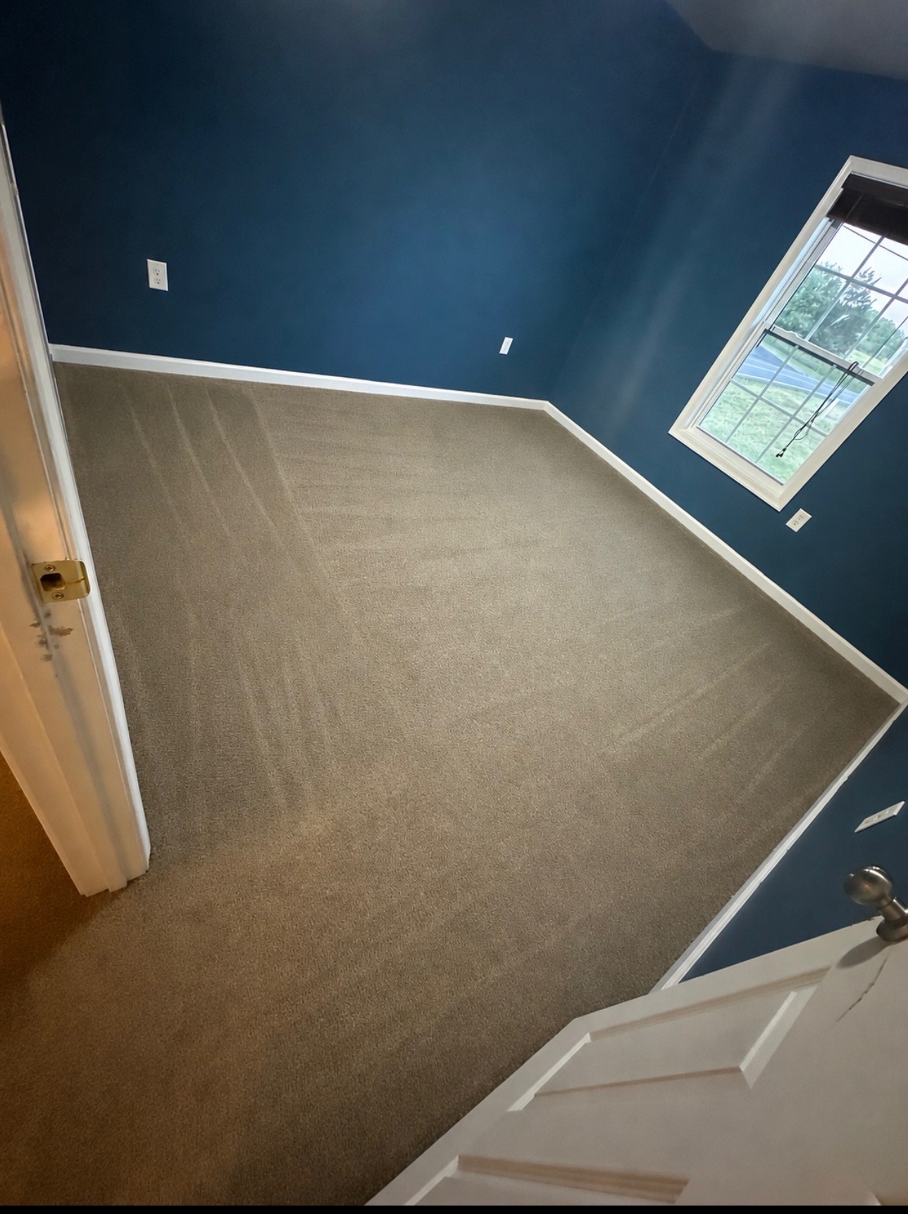 Carpet cleaning after photo